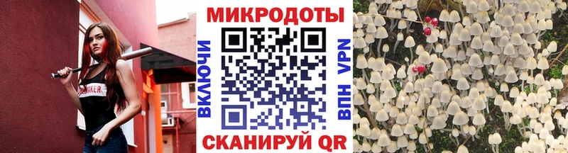 Галлюциногенные грибы Psilocybe  цена наркотик  Полярный 