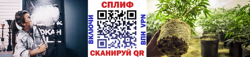Бошки марихуана VHQ  Полярный 